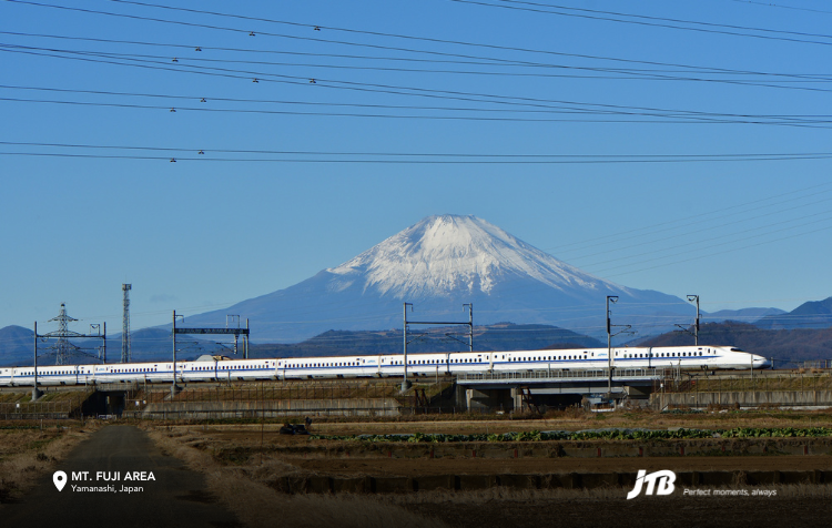 Tokyo & Osaka (Golden Route)