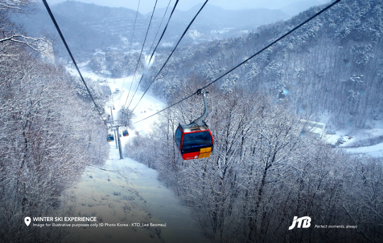5D4N Korea Winter Ski Tour