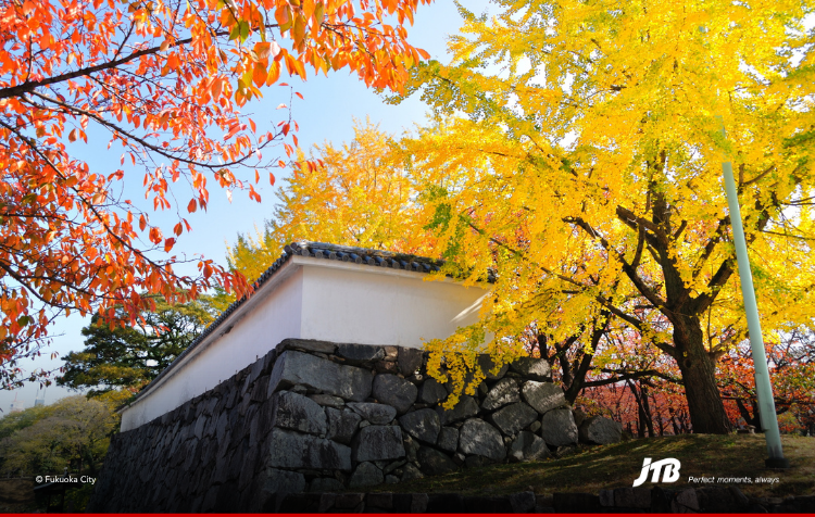 6D5N Fukuoka: The Heart of Kyushu Tour