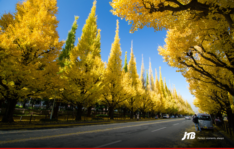 7D6N Autumn in Tokyo & Osaka Tour