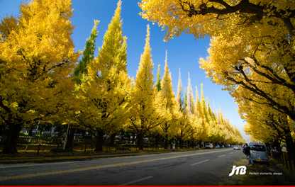 7D6N Autumn in Tokyo & Osaka Tour