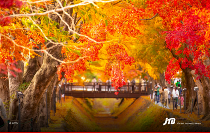 7D6N Autumn in Tokyo & Osaka Tour