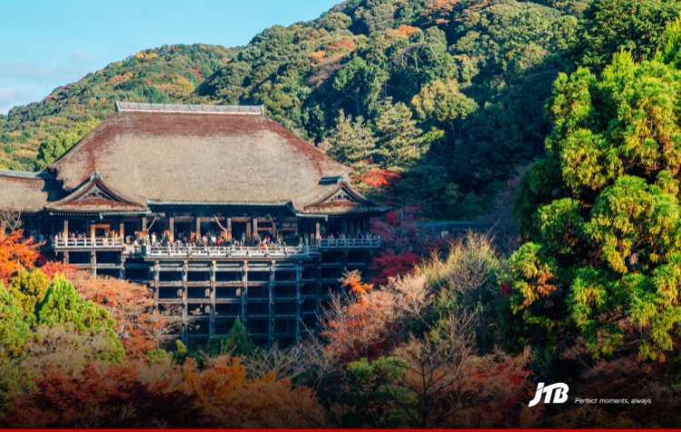 7D6N Autumn in Tokyo & Osaka Tour