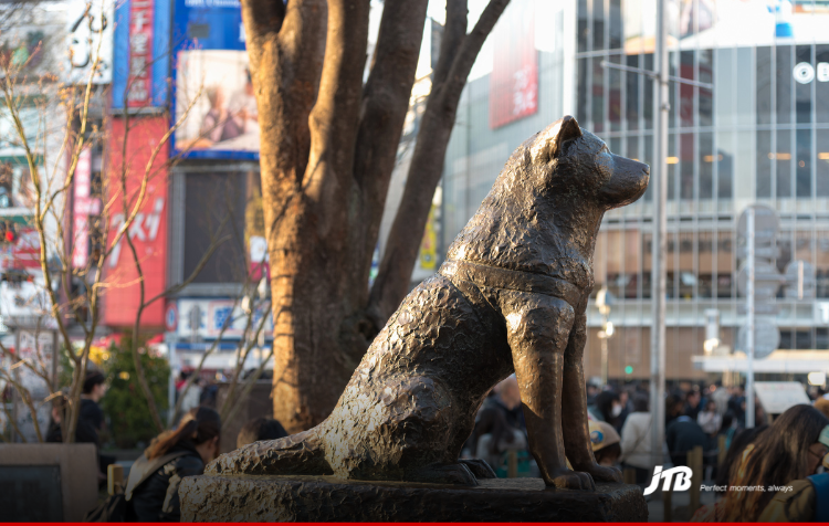 7D6N Essential Japan: Tokyo & Osaka Tour