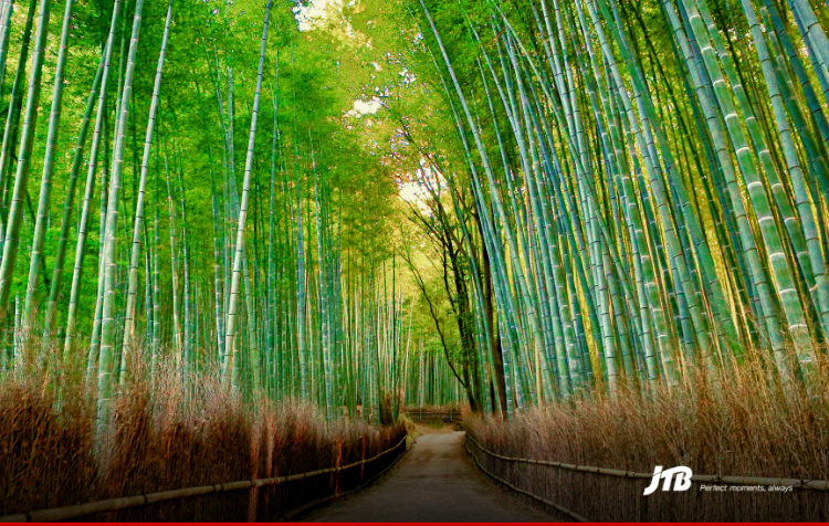 7D6N Essential Japan: Tokyo & Osaka Tour