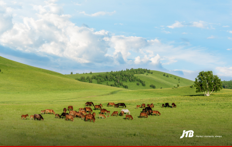 7D6N Inner Mongolia Explorer Tour