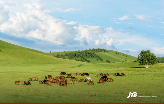 7D6N Inner Mongolia Explorer Tour