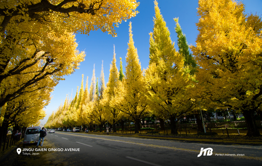 7D6N Autumn in Tokyo Tour