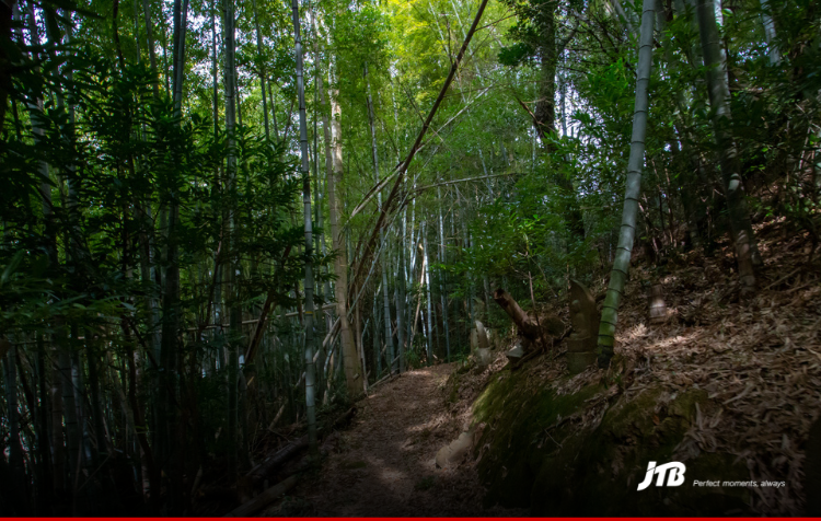 4D Kumano Kodo Self-Guided Walking Tour
