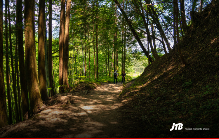 5D Nakasendo Minoji Self-Guided Walking Tour