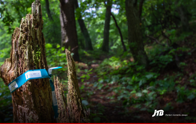 6D Michinoku Coastal Trail Self-Guided Walking Tour