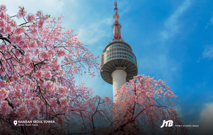 5D4N Seoul-ful Spring Tour