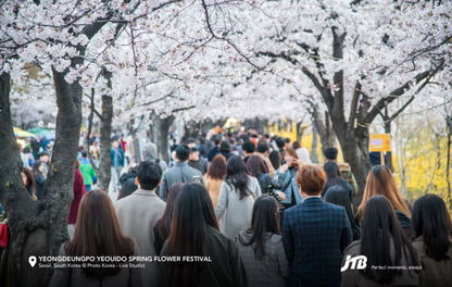 5D4N Seoul-ful Spring Tour