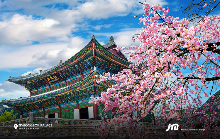 5D4N Seoul-ful Spring Tour