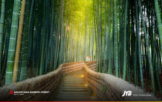 4D3N Golden Kansai Heritage Tour