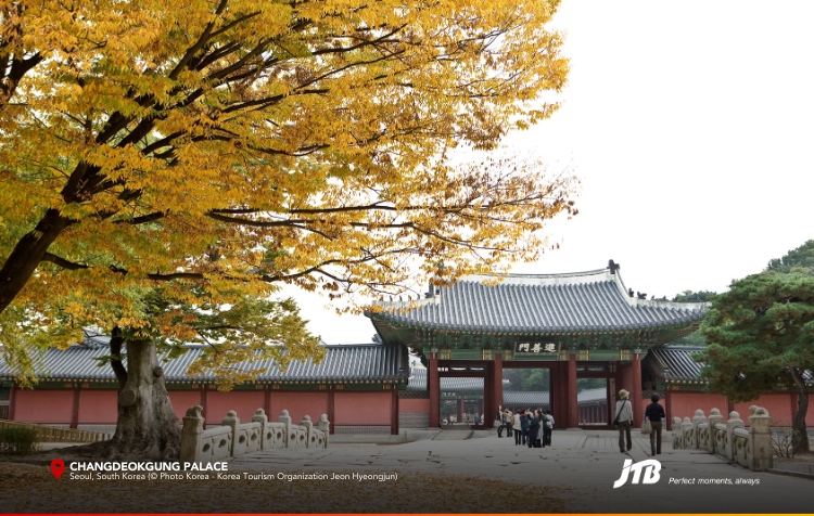 6D5N Korea's Autumn Symphony Tour