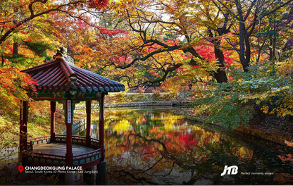 6D5N Korea's Autumn Symphony Tour