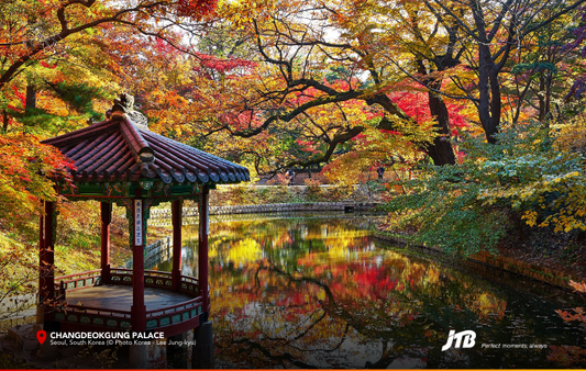 6D5N Korea's Autumn Symphony Tour