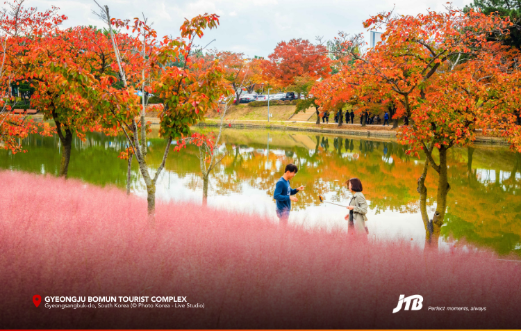 6D5N Korea's Autumn Symphony Tour