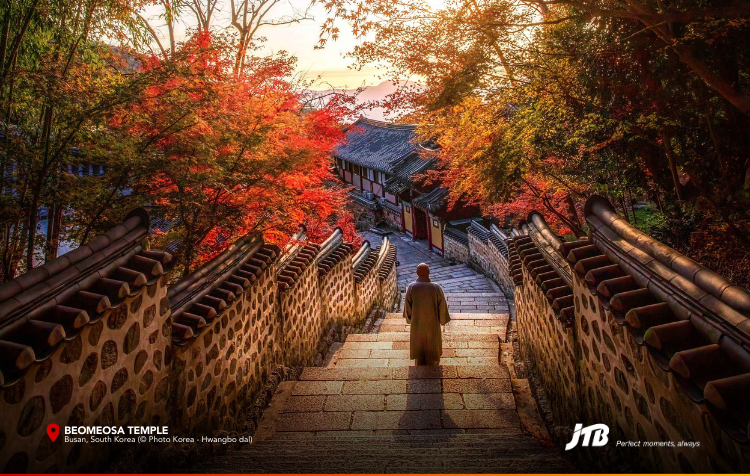 6D5N Korea's Autumn Symphony Tour