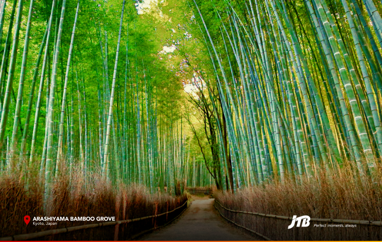 5D4N Kansai Explorer Tour