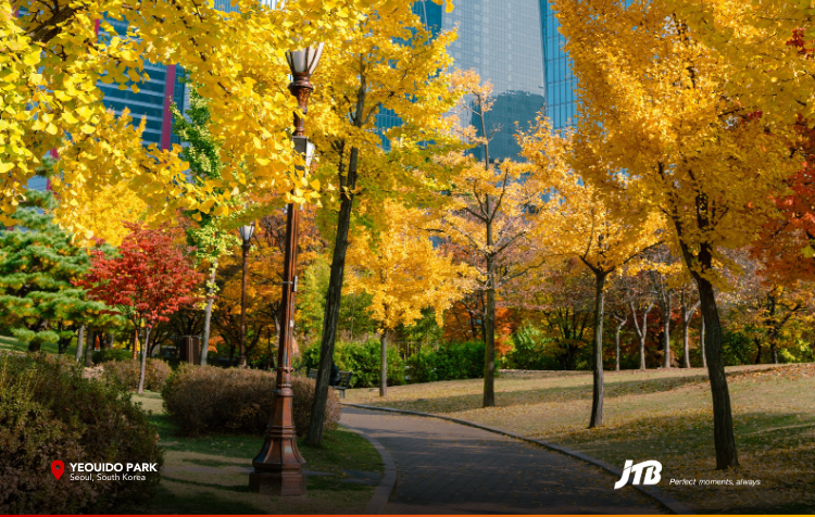 5D4N Seoul-ful Autumn Tour