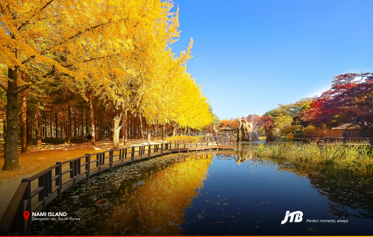 5D4N Seoul-ful Autumn Tour