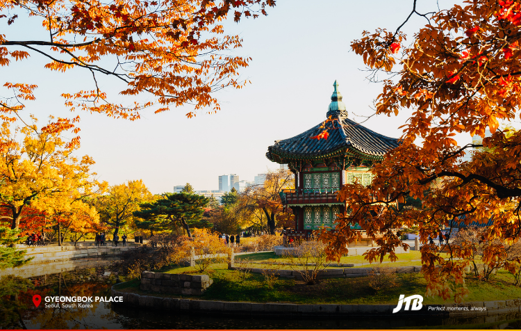 5D4N Seoul-ful Autumn Tour