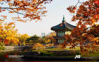 5D4N Seoul-ful Autumn Tour