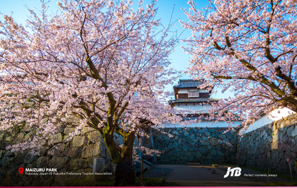 5D4N Spring in Fukuoka Tour