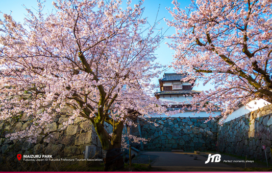 5D4N Spring in Fukuoka Tour