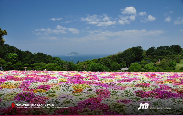 5D4N Spring in Fukuoka Tour