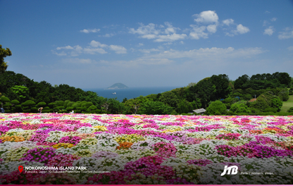 5D4N Spring in Fukuoka Tour