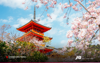 5D4N Spring in Osaka Tour