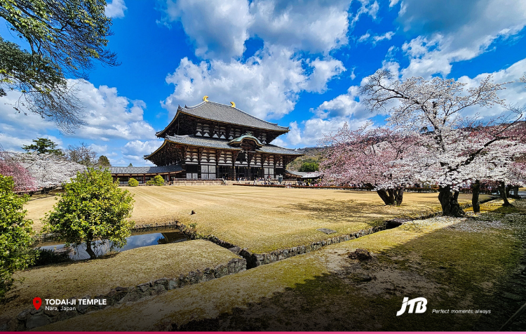 5D4N Spring in Osaka Tour