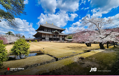 5D4N Spring in Osaka Tour