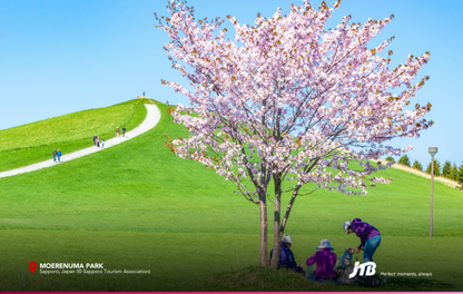 5D4N Spring in Sapporo Tour