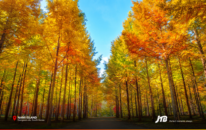 6D4N Timeless Korea Tour