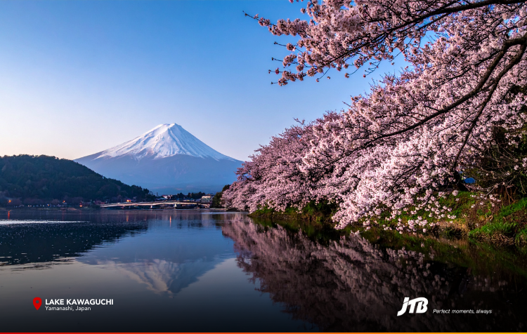 5D4N Tokyo, Mt. Fuji, & Yokohama Tour