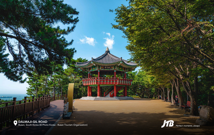 6D5N Korea's Spring Bliss Tour